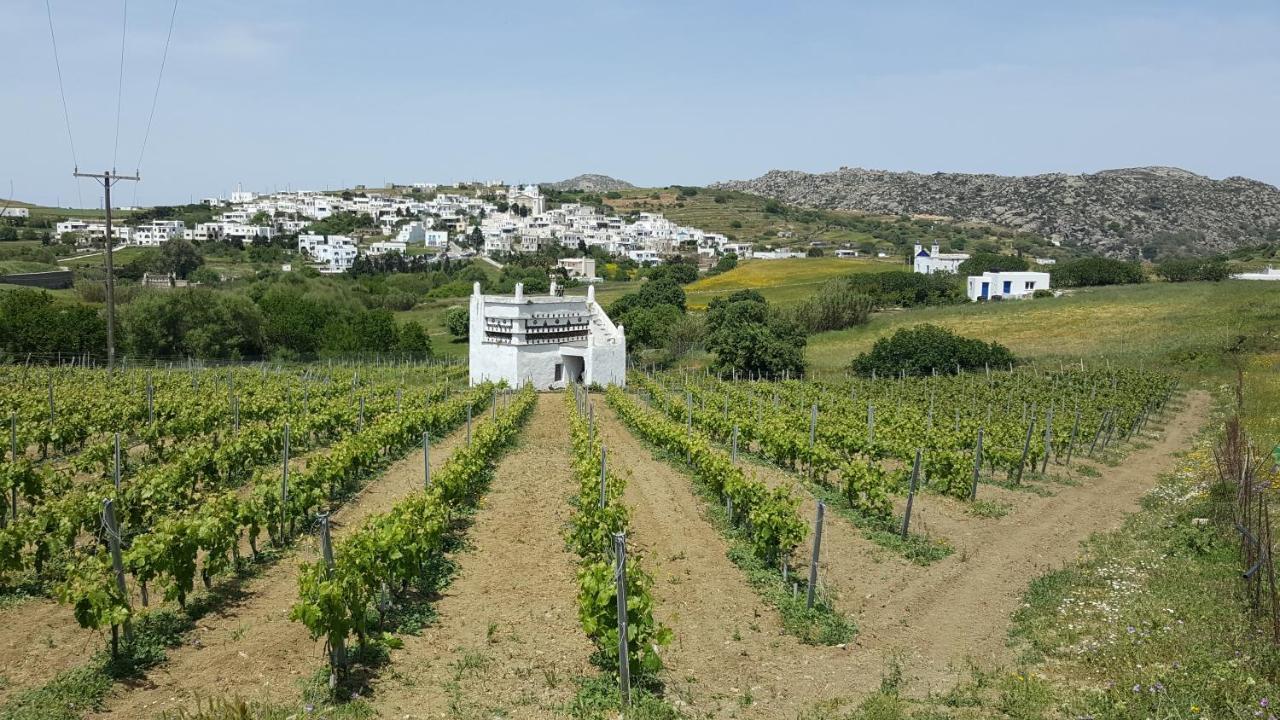 Villa Arokaria Stení Esterno foto